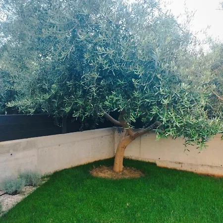 Osvit Grand Deluxe *